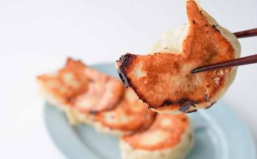 佐野餃子(大)10個2人前×2パックと濃縮佐野ラーメン6人前【配送不可地域：離島・沖縄県】