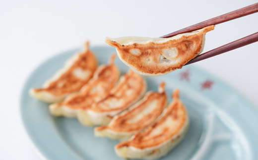 【佐野餃子(中)野菜餃子24個4人前】×2袋と【濃縮佐野ラーメン】6人前【配送不可地域：離島・沖縄県】