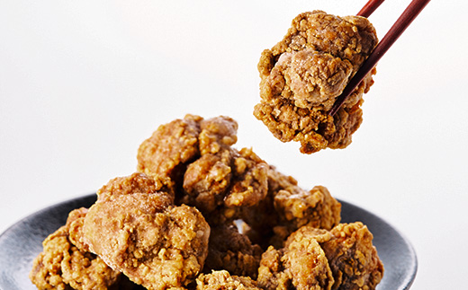 栃木県佐野市名物!冷凍・佐野黒から揚げ(500g)【配送不可地域：離島】