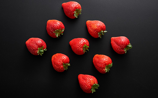 栃木県 いちご 新品種【とちあいか】 9粒～12粒 約450g【配送不可地域：離島】