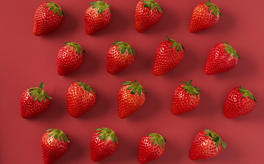 栃木県佐野産完熟いちごスカイベリー【配送不可地域：離島・沖縄県・九州】