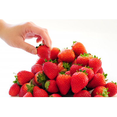 【春いちご 】栃木のいちご4種詰め合わせセット!(300g×4パック)【配送不可地域：離島】