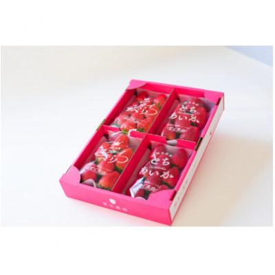 豪華!栃木イチゴ2種(スカイベリー・とちあいか)大粒 食べ比べセット (300g×4パック)【配送不可地域：離島・沖縄県】