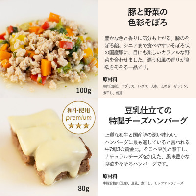 【マンゴーのショートケーキセット】犬のケーキ・ごはん 無添加 手作り Idea dog chef【配送不可地域：離島】