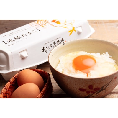 佐野市飛駒町産　大久保養鶏場　元禄卵　60個(10個入り×6パック)【配送不可地域：離島】