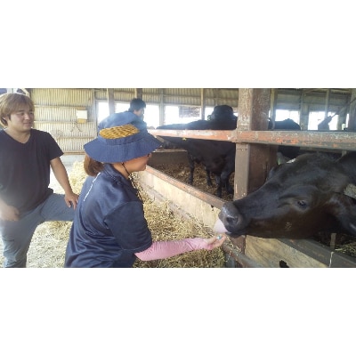 「みかも牛」焼肉用300g【配送不可地域：離島】