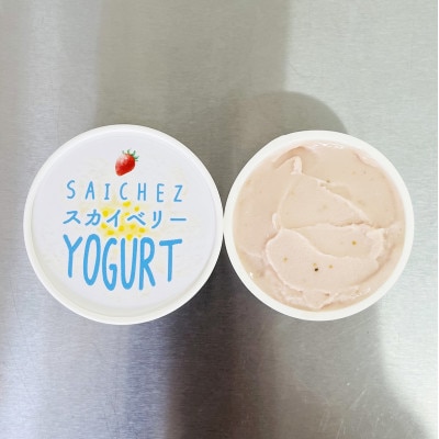 フローズンヨーグルト〈定番3種類・パイナップルココナッツ3・スカイベリー2〉　アイスクリーム【配送不可地域：離島】