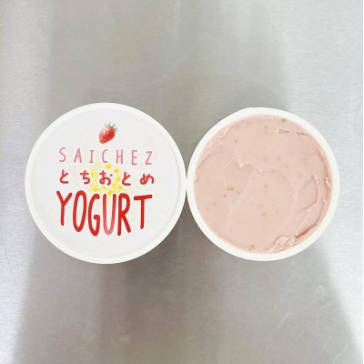 フローズンヨーグルト〈定番3種類・ビターアダルトコーヒー3・とちおとめ2〉アイス　シャーベット【配送不可地域：離島】