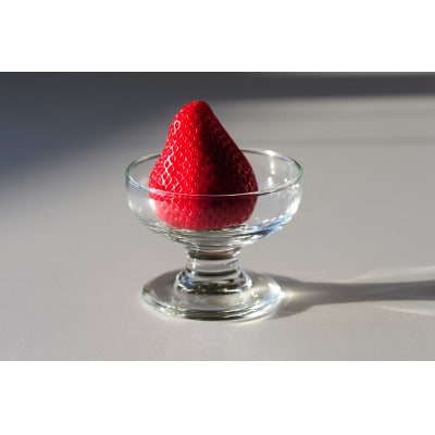 栃木のいちご4品種 ジェラート詰め合わせ 12個(4種×各3)【配送不可地域：離島】