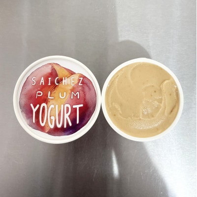 フローズンヨーグルト〈定番3種類・クラシックキャラメル3・プラム2〉ヨーグルト　アイスクリーム　【配送不可地域：離島】