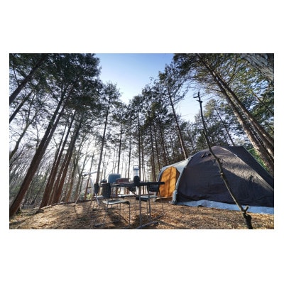 DANRANアウトドアフィールド キャンプ場  RVパークで使えるクーポン券　3,000円分