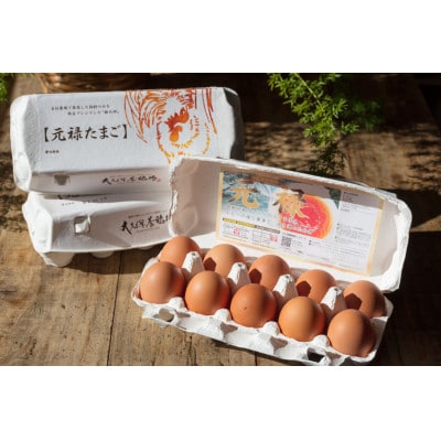 佐野市飛駒産　大久保養鶏場　元禄卵　30個(10個入り×3パック)【配送不可地域：離島】