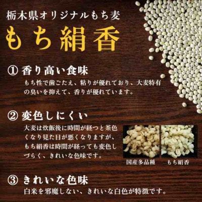 栃木県産もち絹香 800g×5袋