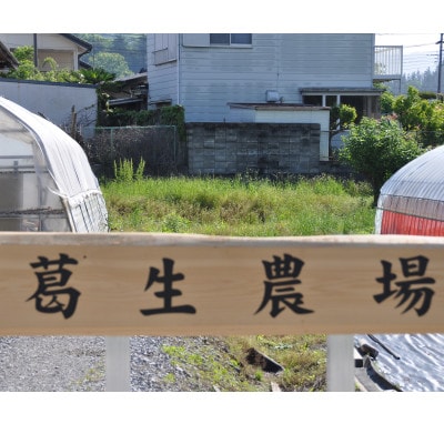 『葛生農場』栃木の新品種『とちあいか』(260g×2パック)【配送不可地域：離島】