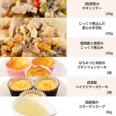 【プレミアム・ドッグミールセットB】犬用ごはん 無添加 手作り Idea dog chef【配送不可地域：離島】