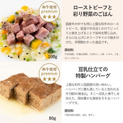 【いちごのショートケーキセット】犬用ケーキ・ごはん 無添加 手作り Idea dog chef【配送不可地域：離島】