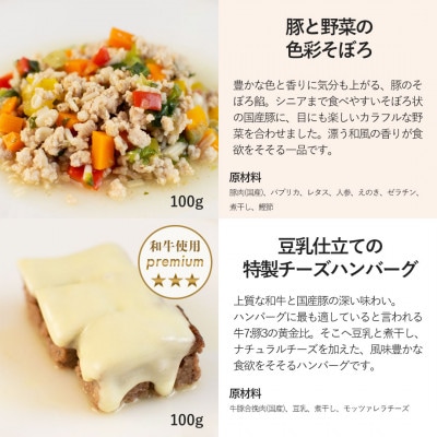 【マンゴーのショートケーキセット】犬のケーキ・ごはん 無添加 手作り Idea dog chef【配送不可地域：離島】