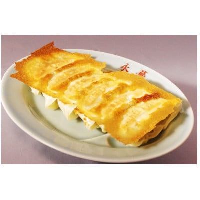 佐野の名店食べ比べ!麺屋ようすけ大餃子＆永華野菜餃子セット【配送不可地域：離島】