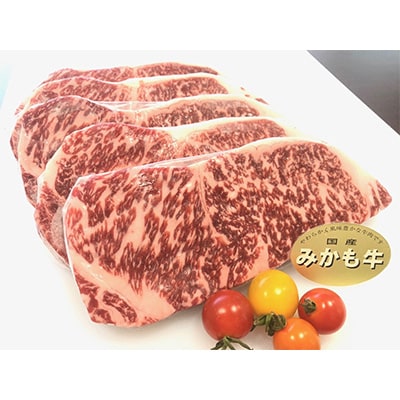 【発送月固定定期便】【2024年2月発送開始】みかも牛「定期便　4ヶ月ごと3回コース」全3回【配送不可地域：離島】