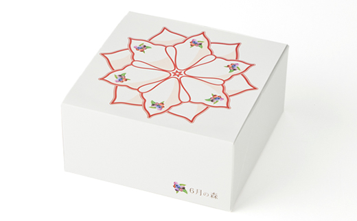 ブルーベリーチーズケーキ　6月の雪【配送不可地域：離島】