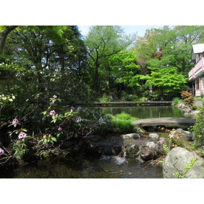 赤見温泉ホテル一乃館　個室食事処で3時間滞在+季節のコース料理　日帰りペアチケット