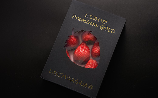 栃木県 いちご 新品種【とちあいか】 9粒～12粒 約450g【配送不可地域：離島】