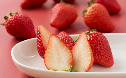 栃木県佐野産完熟いちごスカイベリー【配送不可地域：離島・沖縄県・九州】