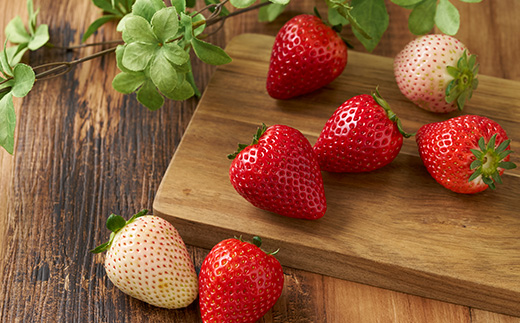 栃木の白いちご ミルキーベリー とちあいか MIX　300g×2パック【配送不可地域：離島】