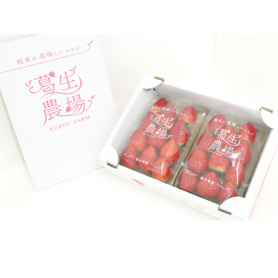 【発送月固定定期便】【2・3・4・7月】栃木のいちご2パックと夏のジェラート定期便!全4回【配送不可地域：離島・沖縄県】