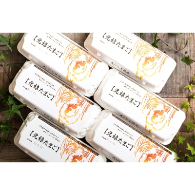 佐野市飛駒町産　大久保養鶏場　元禄卵　60個(10個入り×6パック)【配送不可地域：離島】