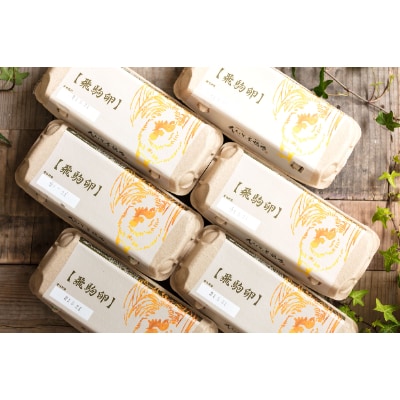 佐野市飛駒町産　大久保養鶏場　飛駒卵　60個(10個入り×6パック)【配送不可地域：離島】