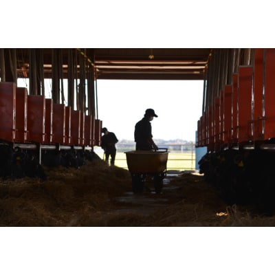 「みかも牛」焼肉用300g【配送不可地域：離島】