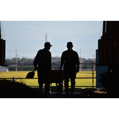 「みかも牛」すき焼き しゃぶしゃぶ用400g【配送不可地域：離島】