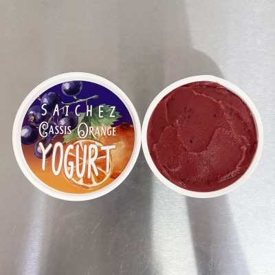 フローズンヨーグルト〈 定番3種類・ビターコーヒー1・アールグレイティ1・カシスオレンジ3 〉【配送不可地域：離島】