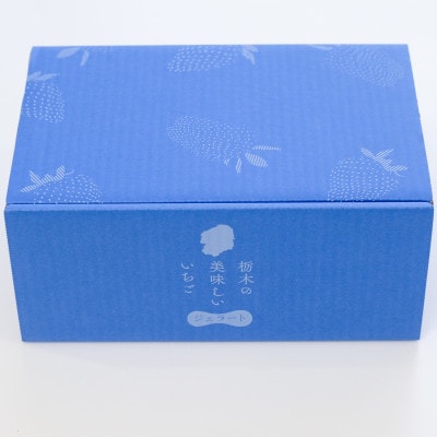 栃木のいちご4品種 ジェラート詰め合わせ 12個(4種×各3)【配送不可地域：離島】