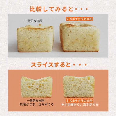 お米の粉ミズホチカラ パン用450g×10袋