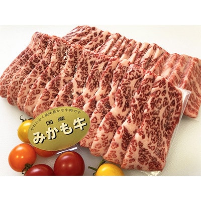 【発送月固定定期便】〈2025年2月発送開始〉みかも牛【4ヶ月ごと配送】全3回【配送不可地域：離島】