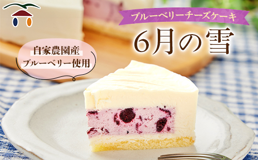 ブルーベリーチーズケーキ　6月の雪【配送不可地域：離島】