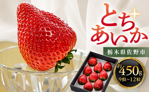 栃木県 いちご 新品種【とちあいか】 9粒～12粒 約450g【配送不可地域：離島】