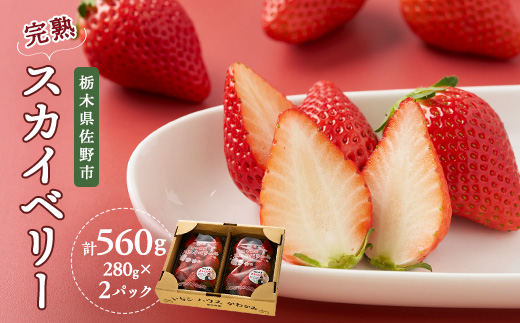 栃木県佐野産完熟いちごスカイベリー【配送不可地域：離島・沖縄県・九州】