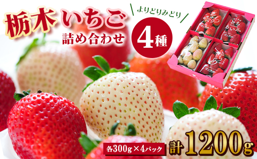 【春いちご 】栃木のいちご4種詰め合わせセット!(300g×4パック)【配送不可地域：離島】