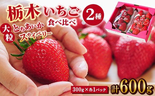 豪華!栃木イチゴ2種(スカイベリー・とちあいか)大粒 食べ比べセット(300g×2パック)【配送不可地域：離島・沖縄県】
