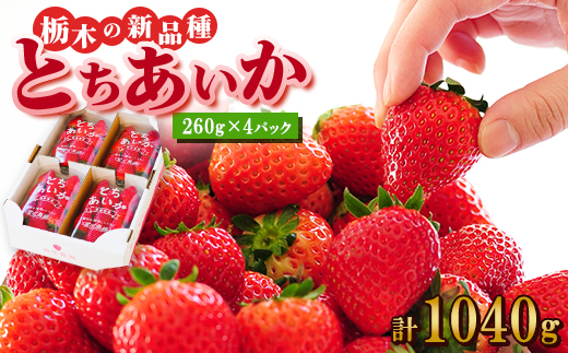 『葛生農場』新鮮!!栃木の新品種　『とちあいか』(260g×4パック)【配送不可地域：離島】