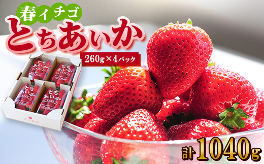 【春イチゴ】『とちあいか』(260g×4パック)【配送不可地域：離島】