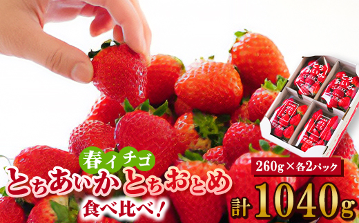 いちご生産量日本一栃木産　春イチゴ『とちおとめ』『とちあいか』 (260g×4パック)食べ比べセット【配送不可地域：離島】