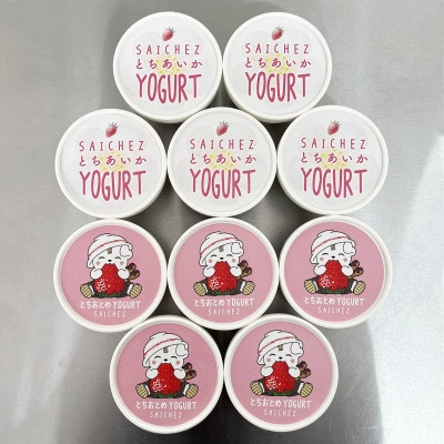 いちご50%使用!栃木県産いちごヨーグルトアイス〈とちおとめ・とちあいか〉 10個セット【配送不可地域：離島】