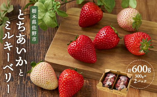 栃木の白いちご ミルキーベリー とちあいか MIX　300g×2パック【配送不可地域：離島】
