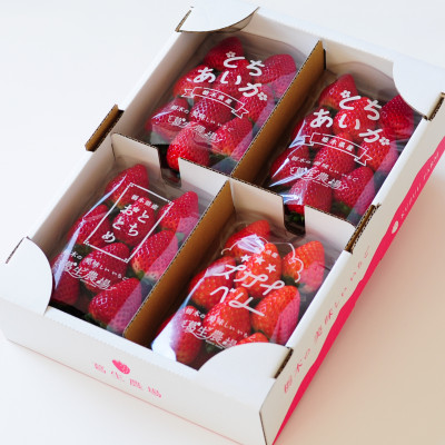 【春イチゴ】「2品種以上組み合わせ!」食べ比べセット(260g×4パック)【配送不可地域：離島】