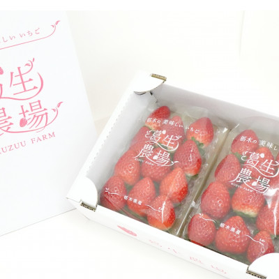 『葛生農場』栃木の新品種『とちあいか』(260g×2パック)【配送不可地域：離島】