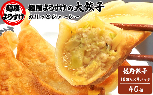 麺屋ようすけ大餃子10個入り×4袋【配送不可地域：離島】